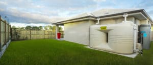 Rainwater Collected from Storm Water