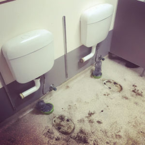 Toilet Disconnection - Bellarine Peninsula